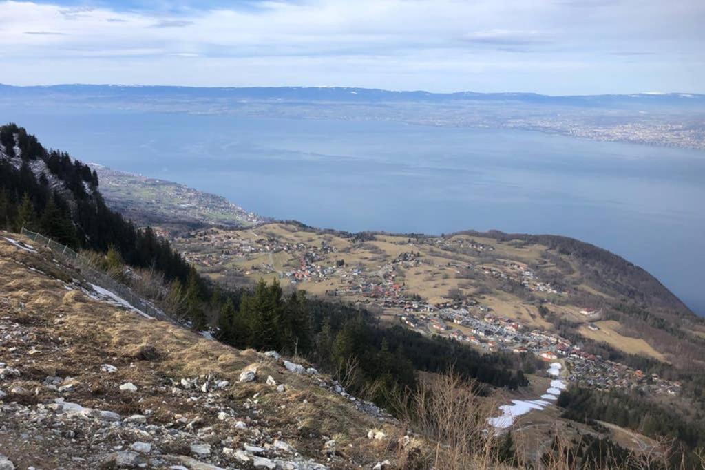 Studio Agreable Et Cosy Avec Vue Sur Les Memises Thollon-les-Memises Exteriér fotografie