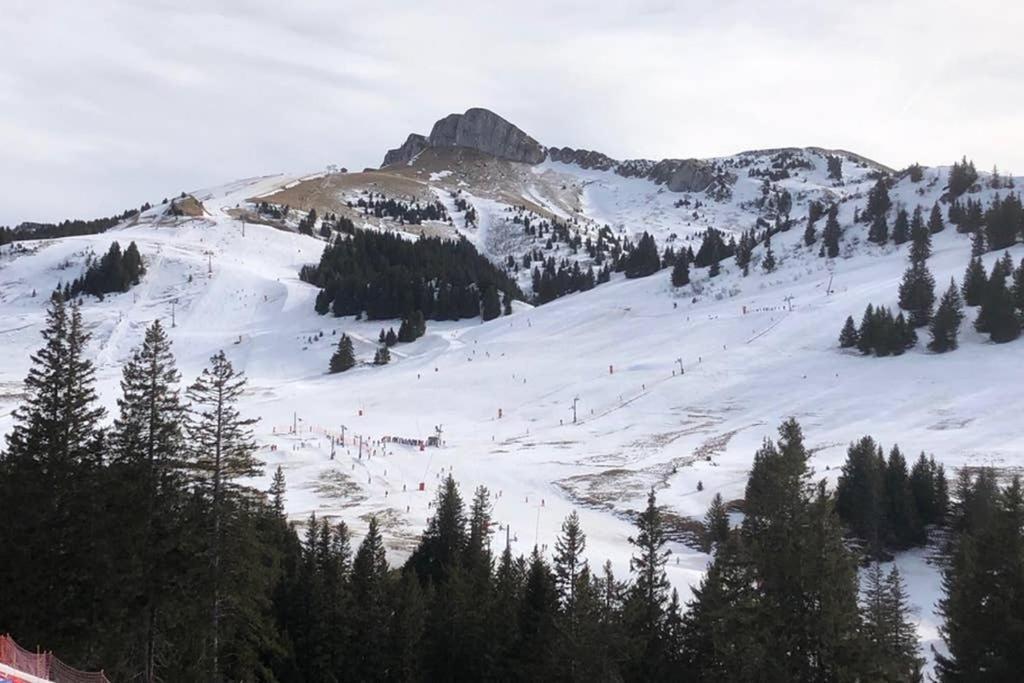 Studio Agreable Et Cosy Avec Vue Sur Les Memises Thollon-les-Memises Exteriér fotografie